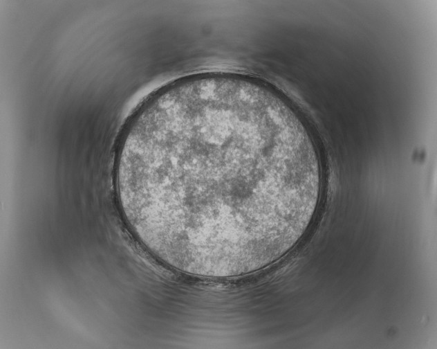 X0000110891222200907161518