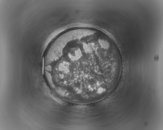 X0000110891223200907161518