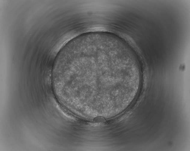 X0000110891225200907161518