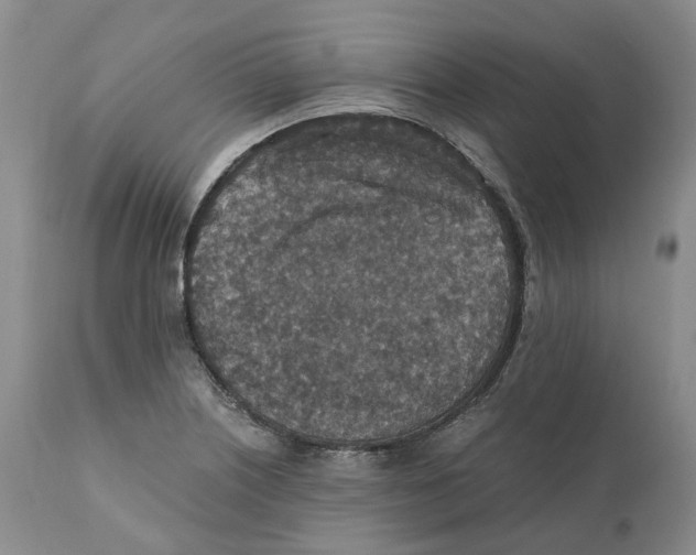 X0000110891226200907161518