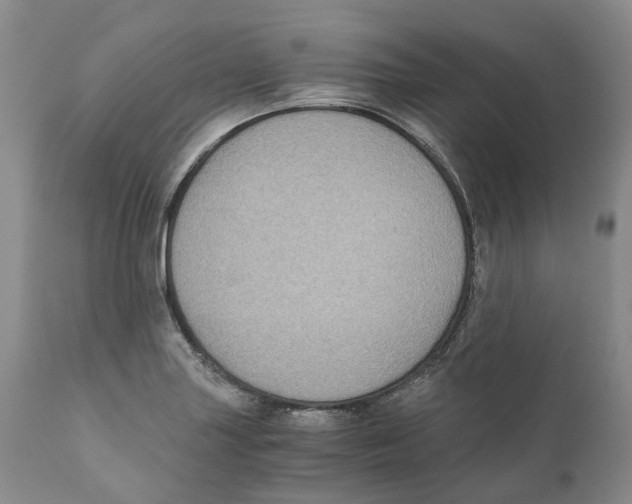 X0000110891227200907161518