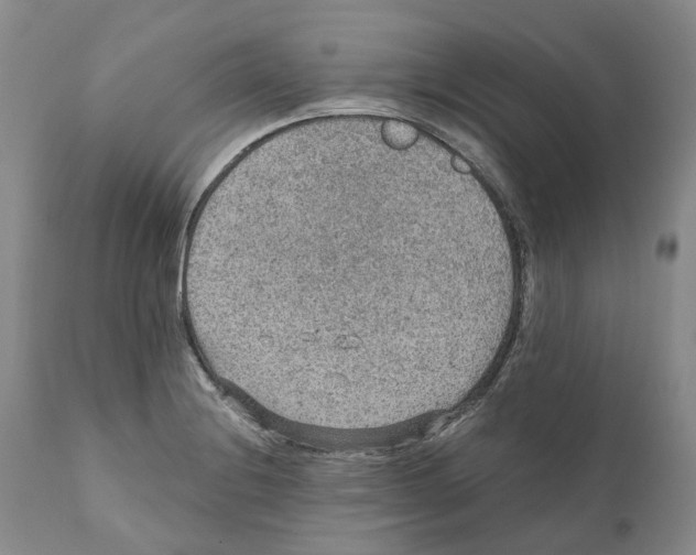 X0000110891228200907161518