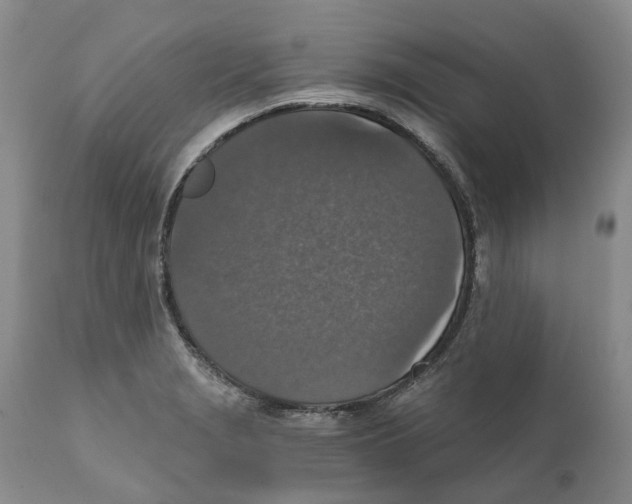 X0000110891229200907161518