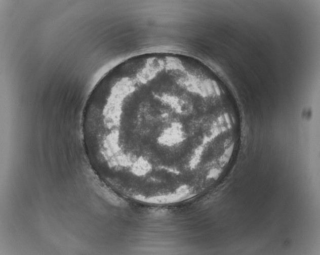 X0000110891230200907161518