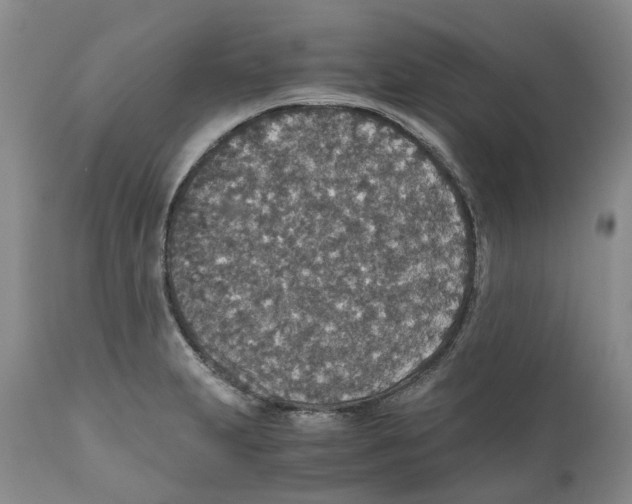 X0000110891231200907161518