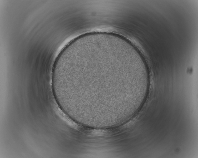 X0000110891232200907161518