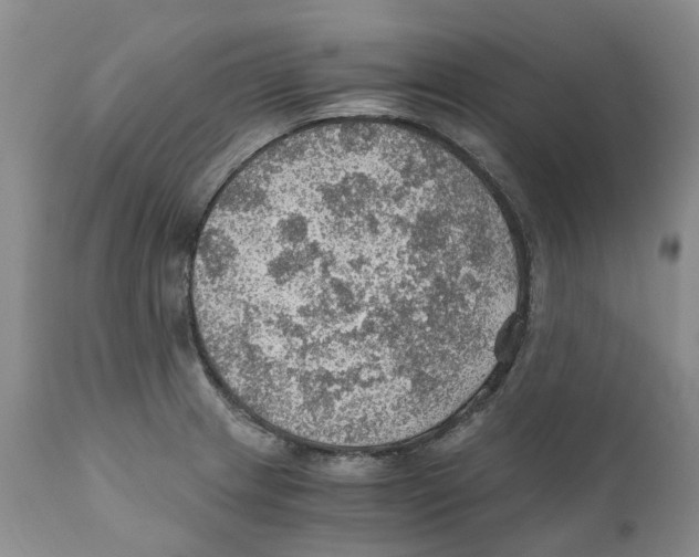 X0000110891233200907161518