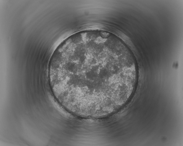 X0000110891234200907161518