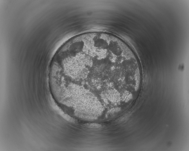 X0000110891235200907161518