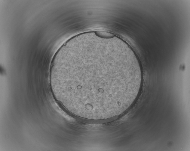 X0000110891236200907161518