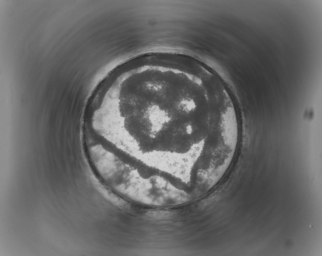 X0000110891237200907161518