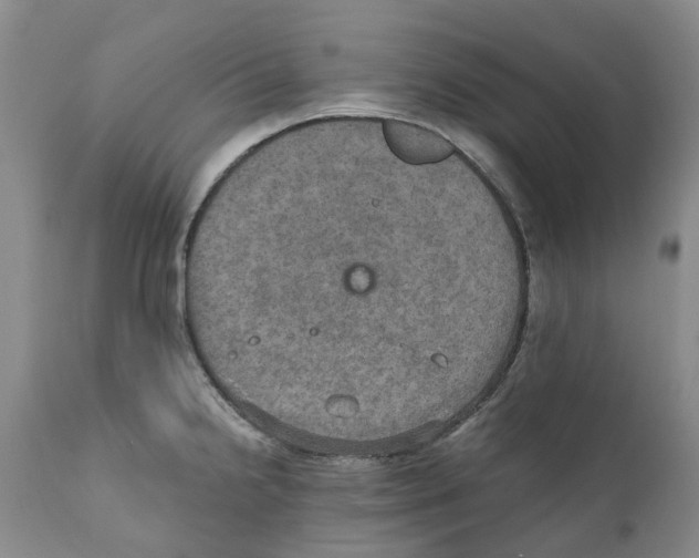 X0000110891238200907161518