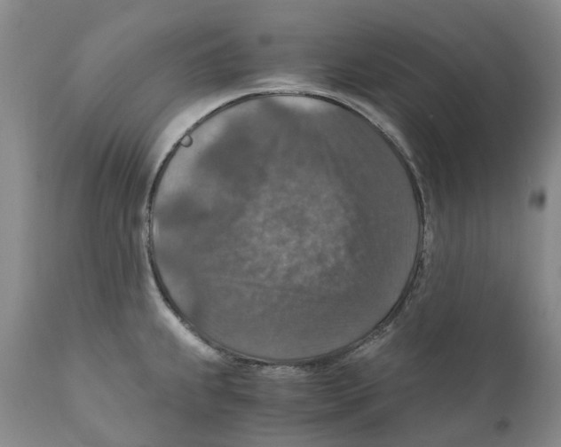 X0000110891239200907161518