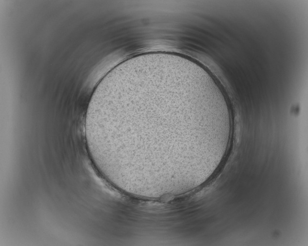 X0000110891241200907161518