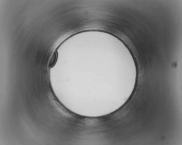 X0000110891242200907161518