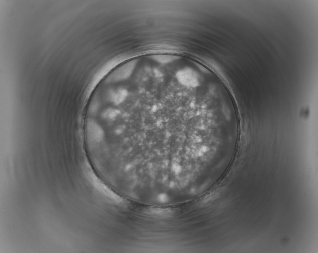 X0000110891243200907161518