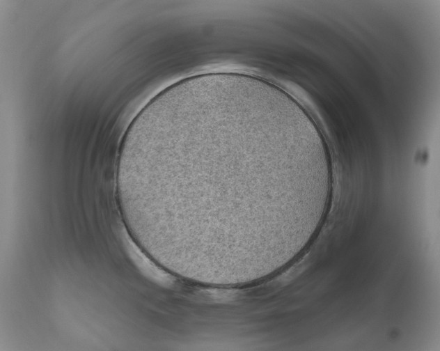 X0000110891244200907161518