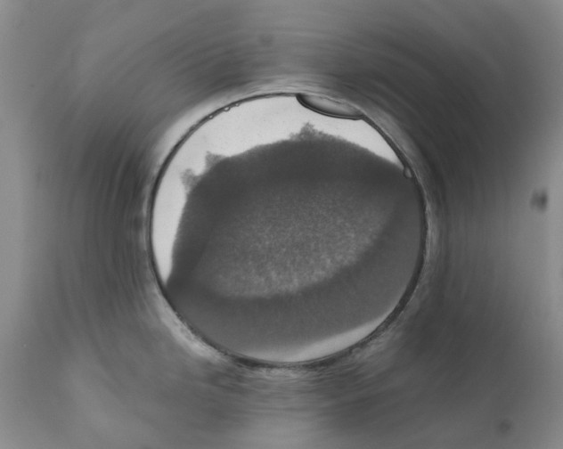 X0000110891246200907161518