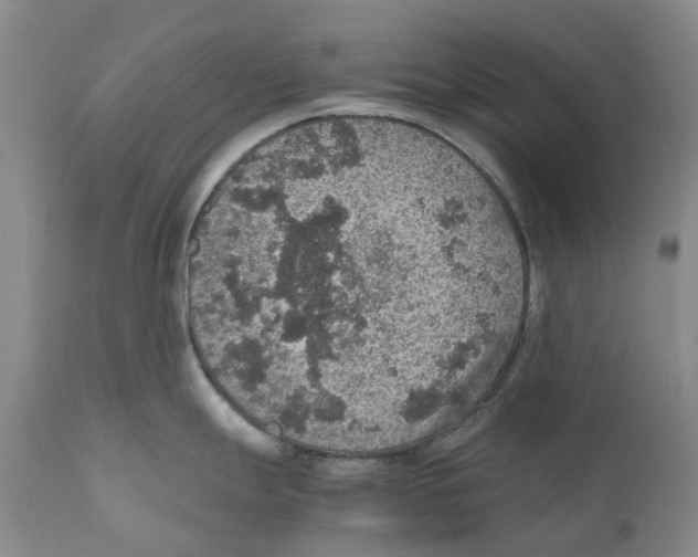 X0000110891247200907161518