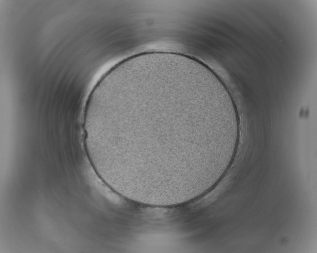 X0000110891248200907161518