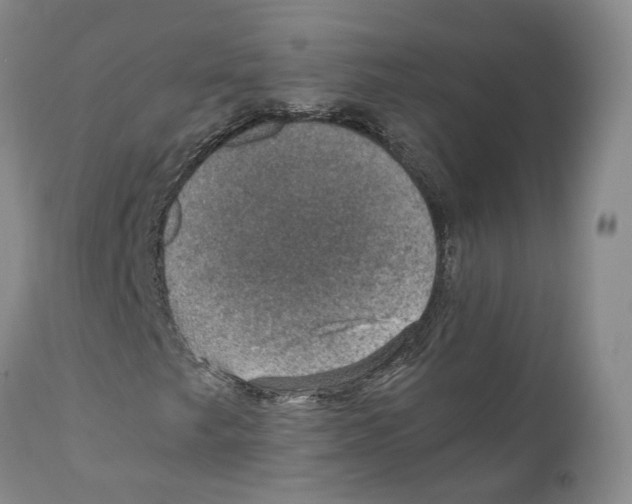 X0000110891249200907161518