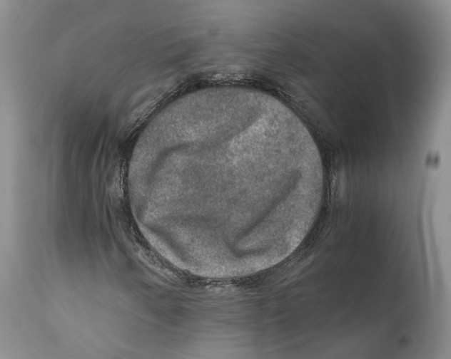 X0000110891250200907161518