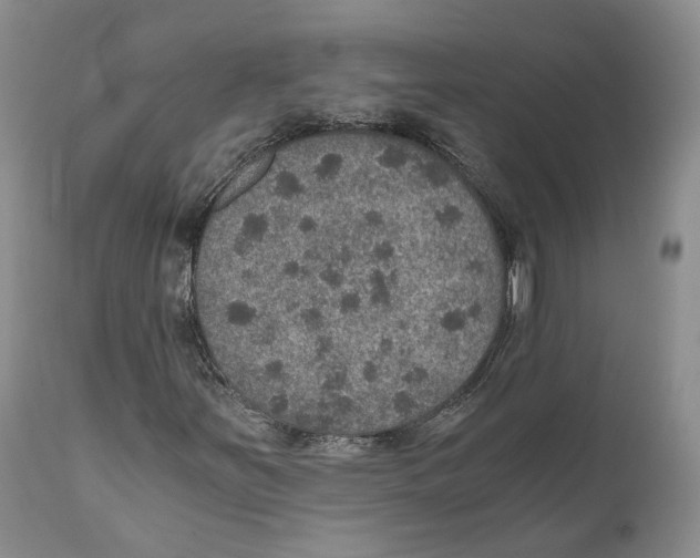 X0000110891251200907161518