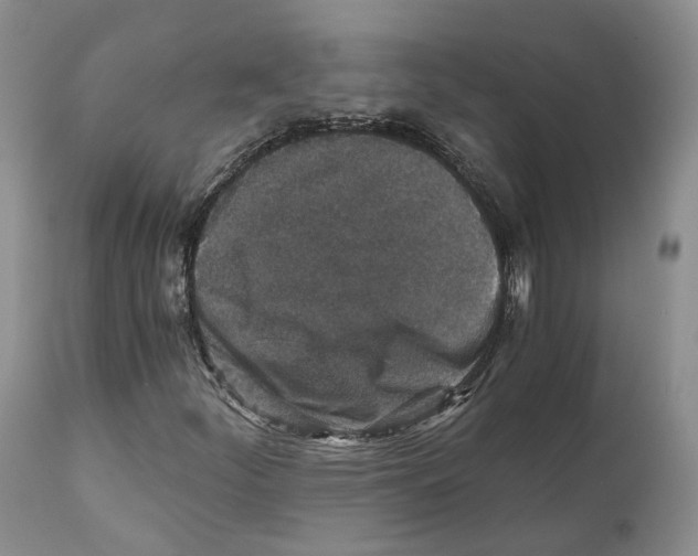 X0000110891252200907161518