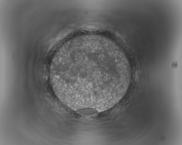 X0000110891253200907161518