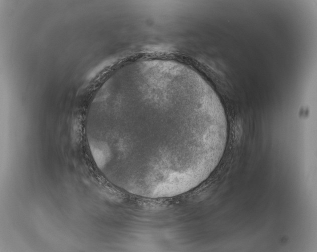 X0000110891254200907161518