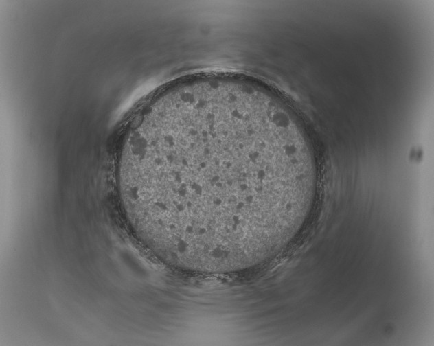 X0000110891255200907161517