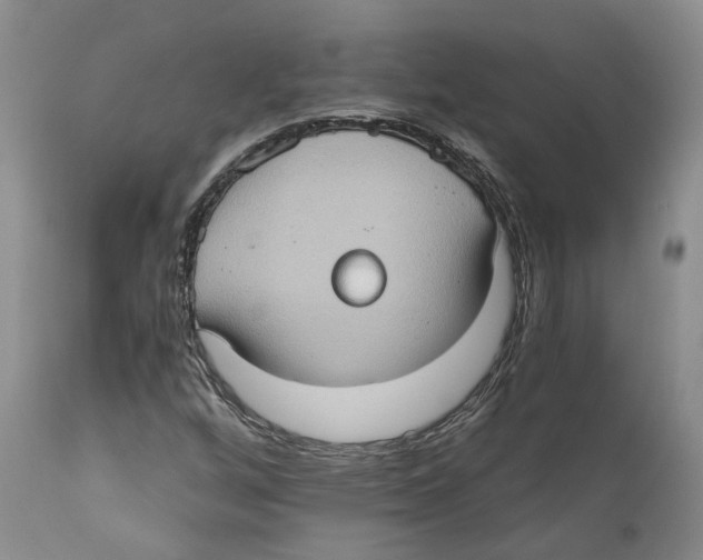 X0000110891256200907161517