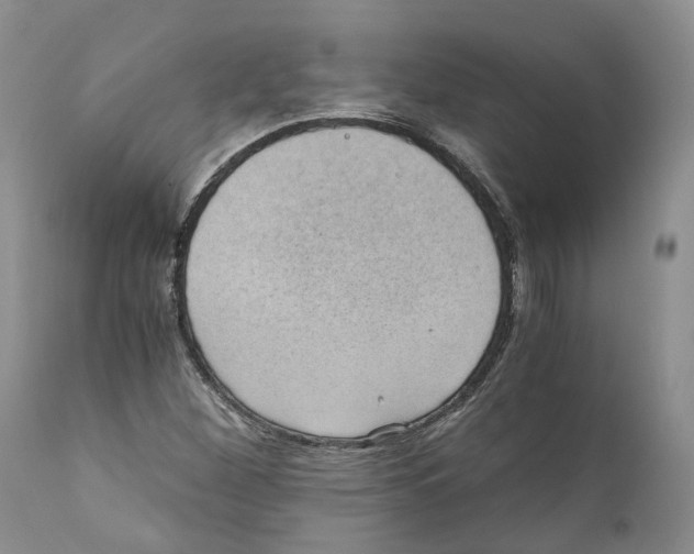 X0000110891260200907161517