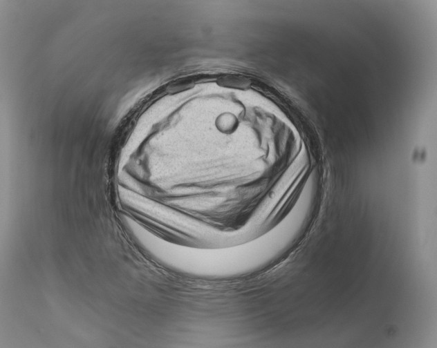 X0000110891261200907161517