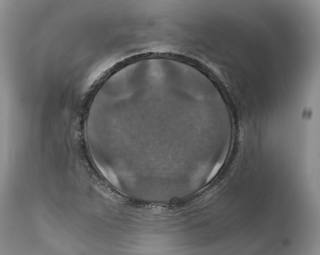 X0000110891263200907161517