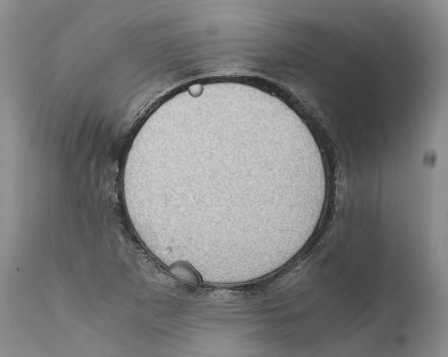 X0000110891265200907161517