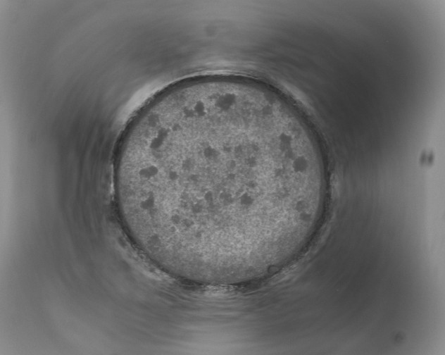 X0000110891267200907161517