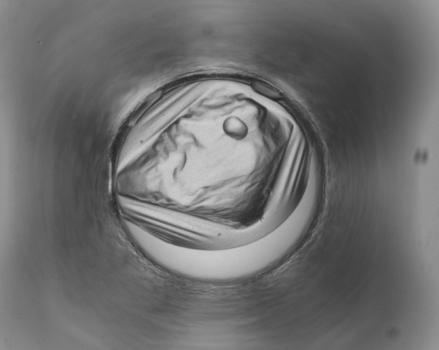 X0000110891269200907161517