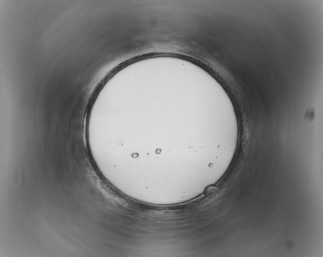 X0000110891272200907161517