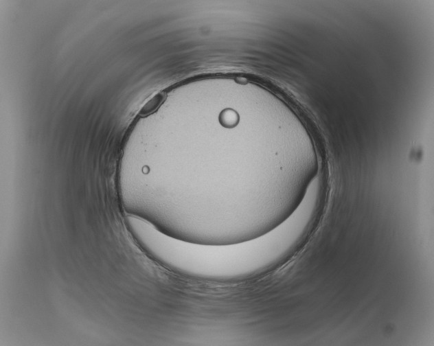 X0000110891273200907161517