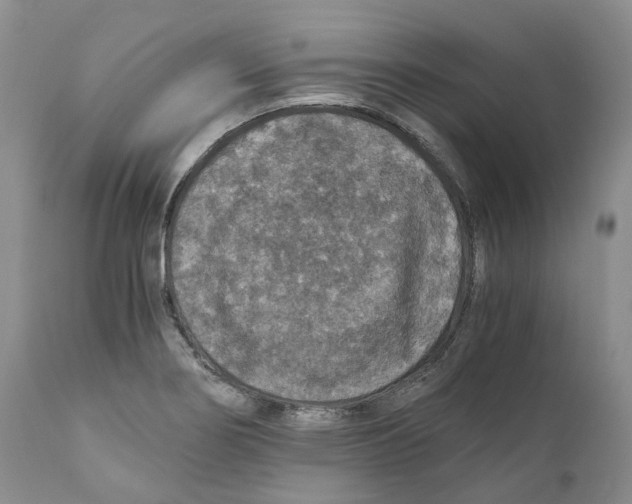 X0000110891274200907161517