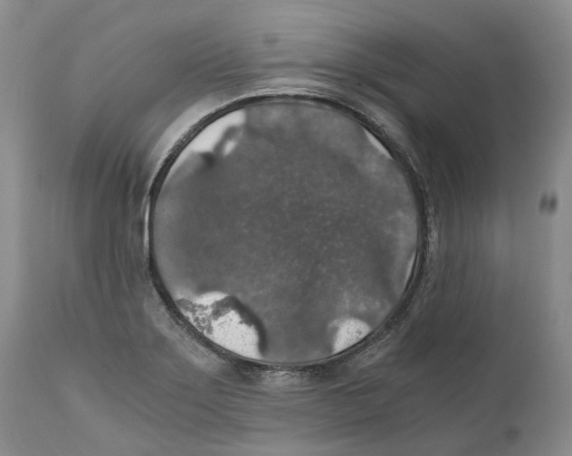 X0000110891275200907161517