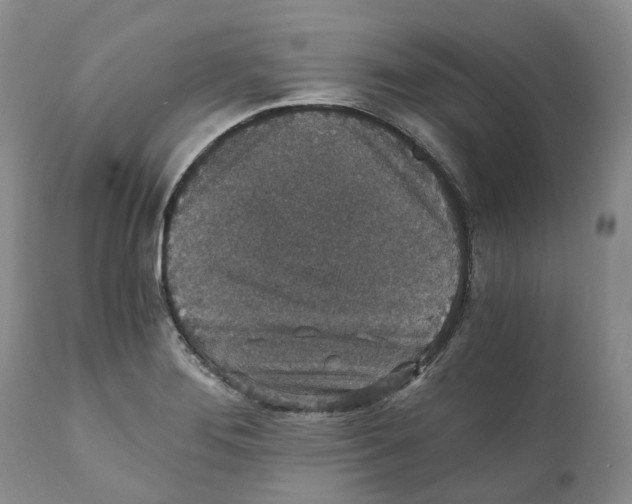 X0000110891276200907161517