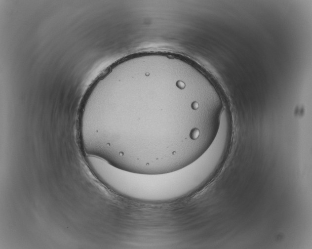 X0000110891277200907161517