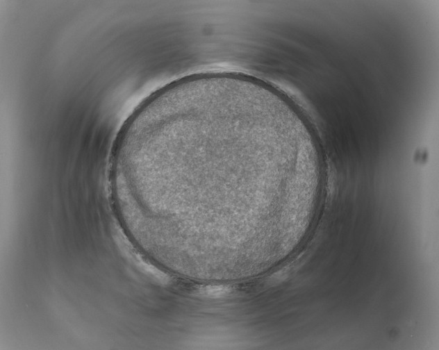 X0000110891278200907161517