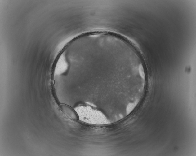 X0000110891279200907161517