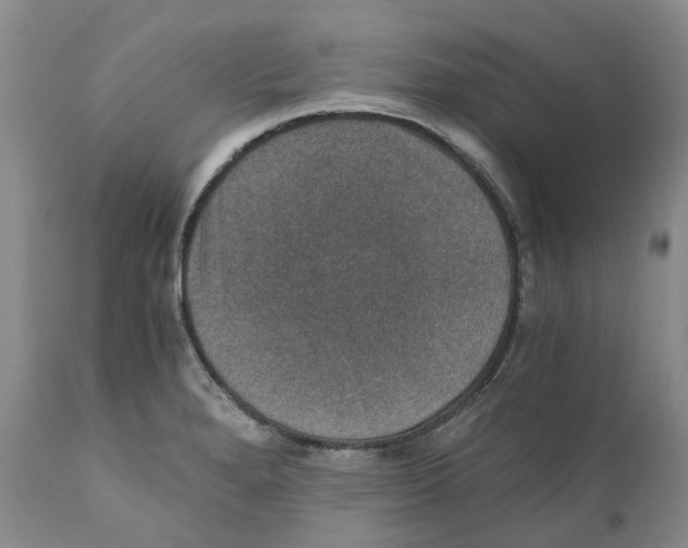 X0000110891280200907161517