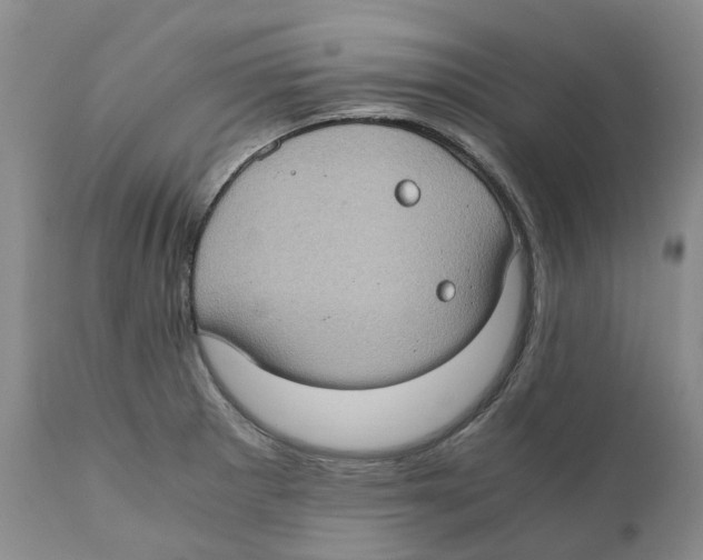 X0000110891281200907161517