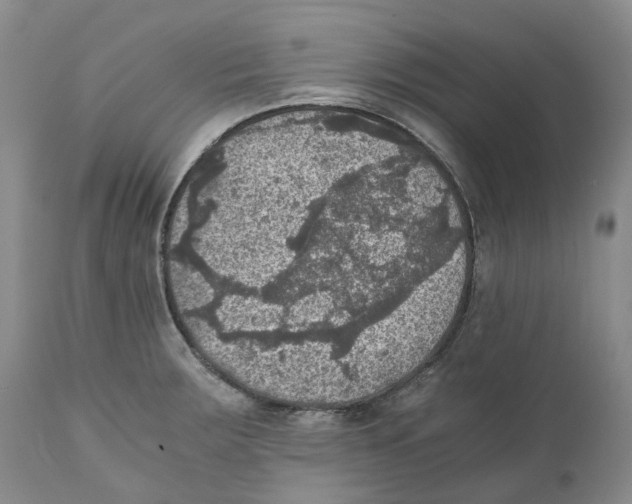 X0000110891283200907161517