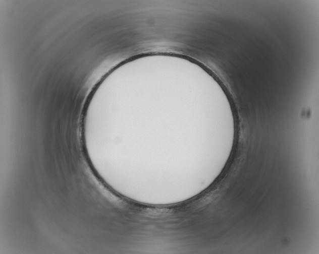 X0000110891285200907161517